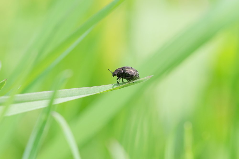 Photograph by Евгений