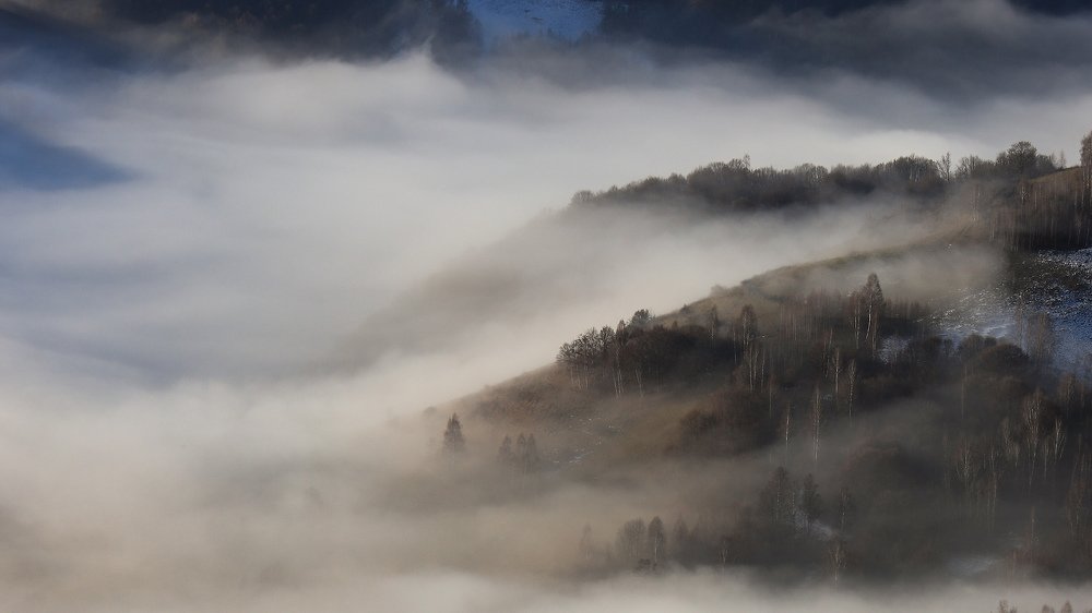 Фотография автора Flegner Calin