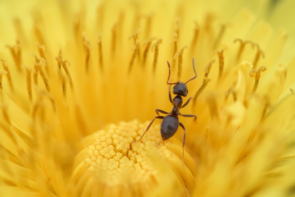 Photograph by Евгений