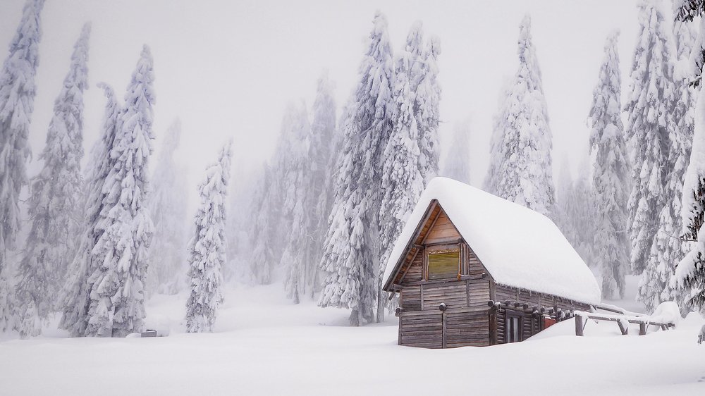 Фотография автора Flegner Calin