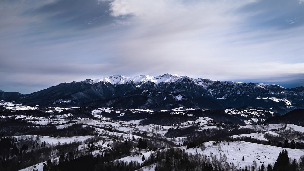 Фотография автора Flegner Calin