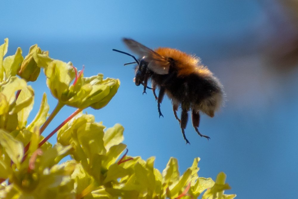 Photograph by Евгений