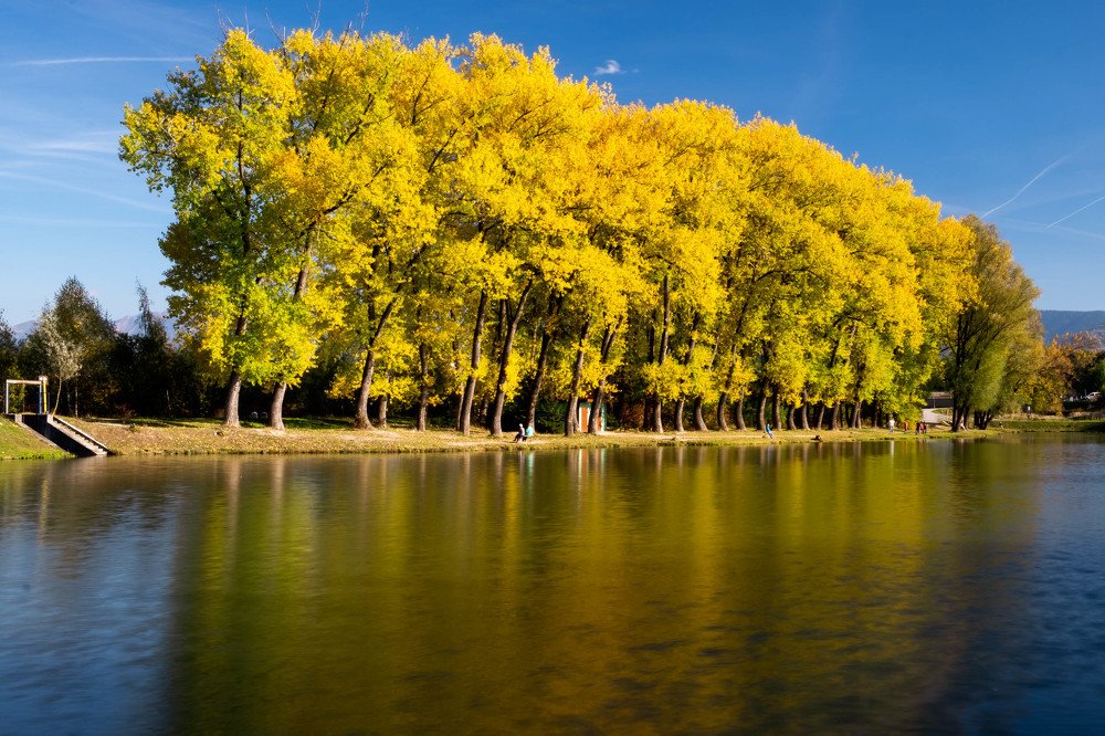 Фотография автора Josef Nový