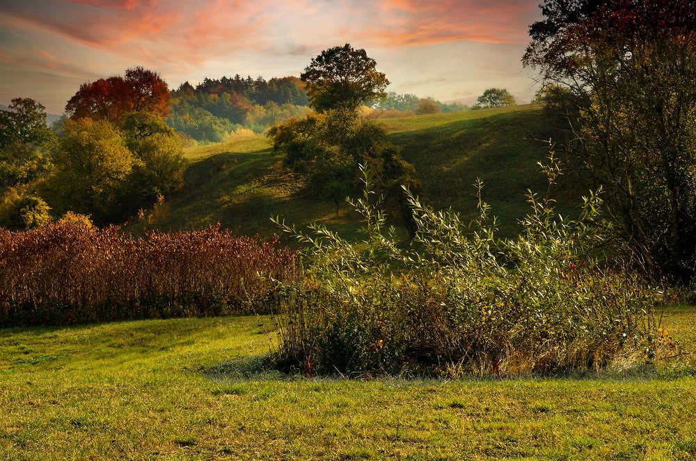 А холмок-горбунок мчит в осенний закат