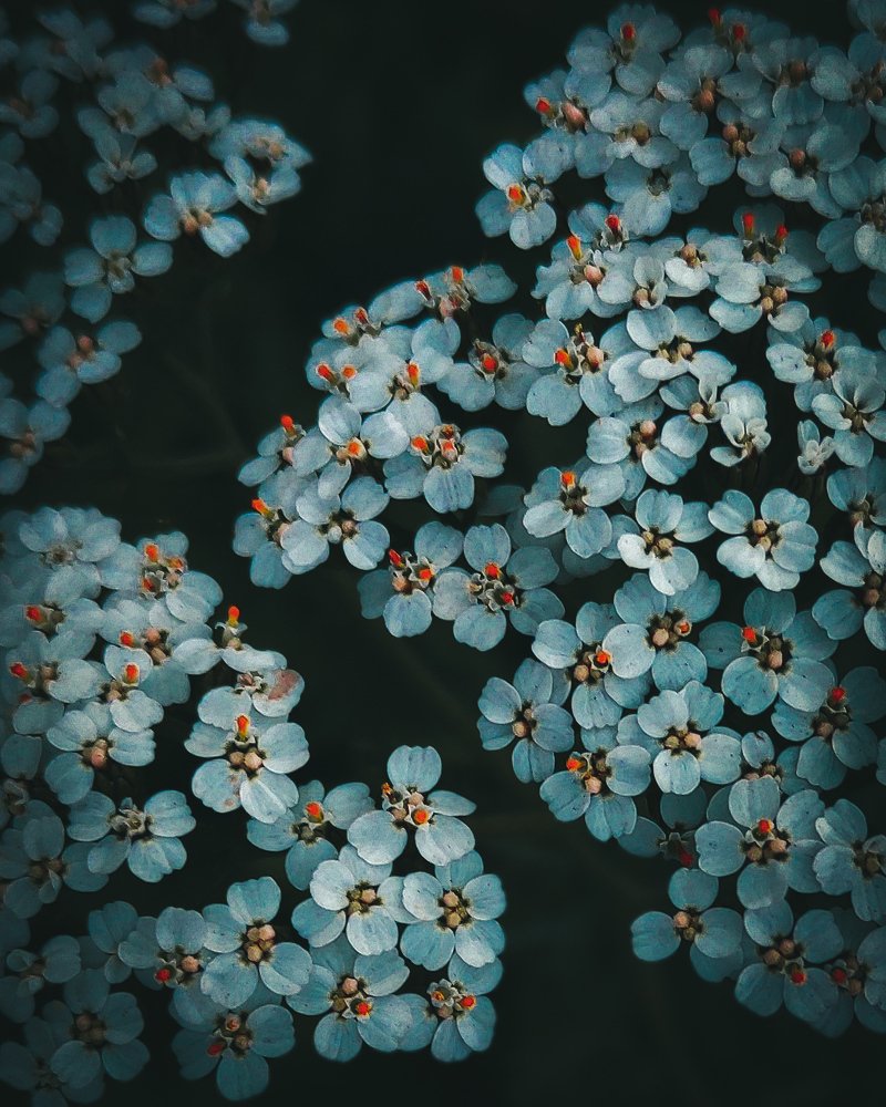 Приближение