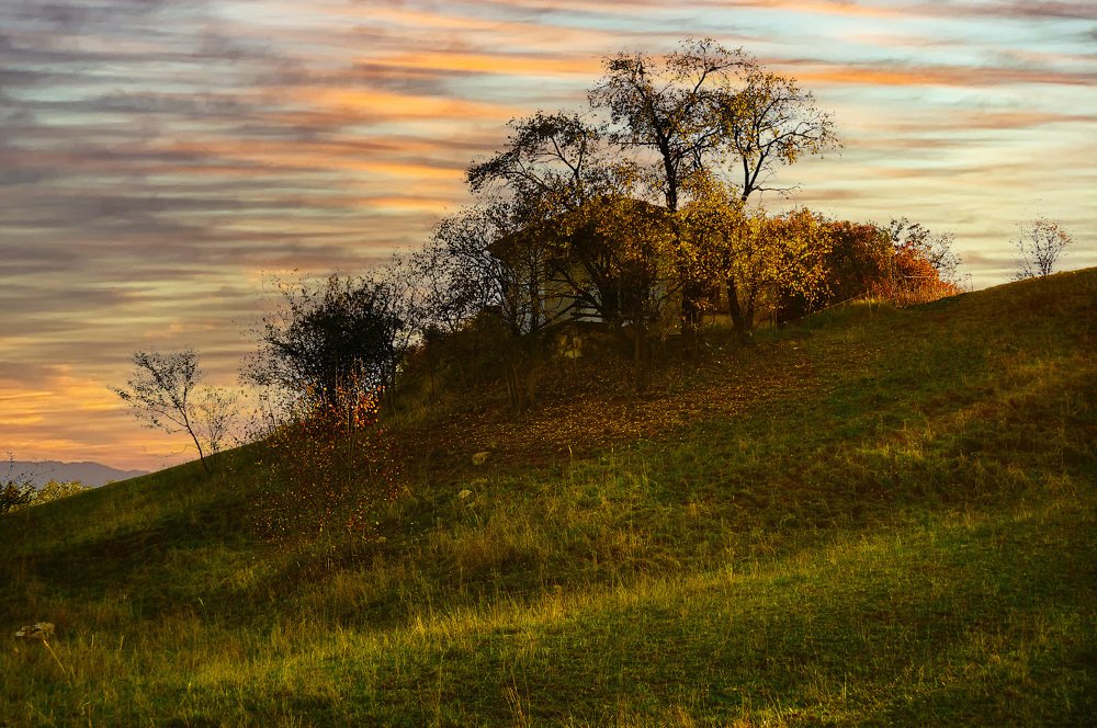 Фотография автора Tatiana Kadotschnikow