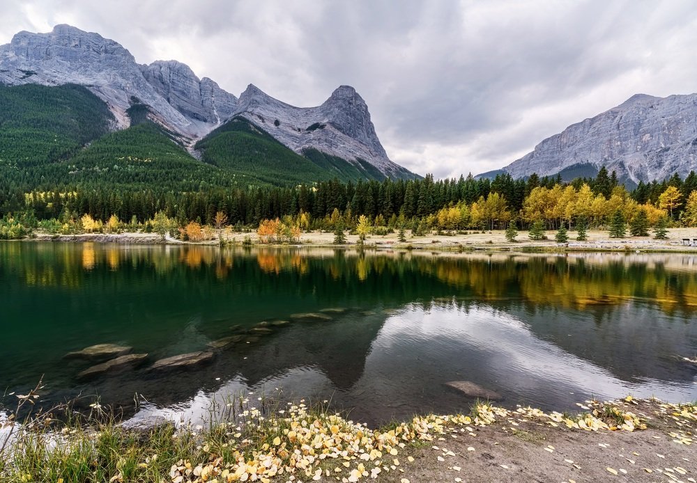 The colorful leaves in autumn