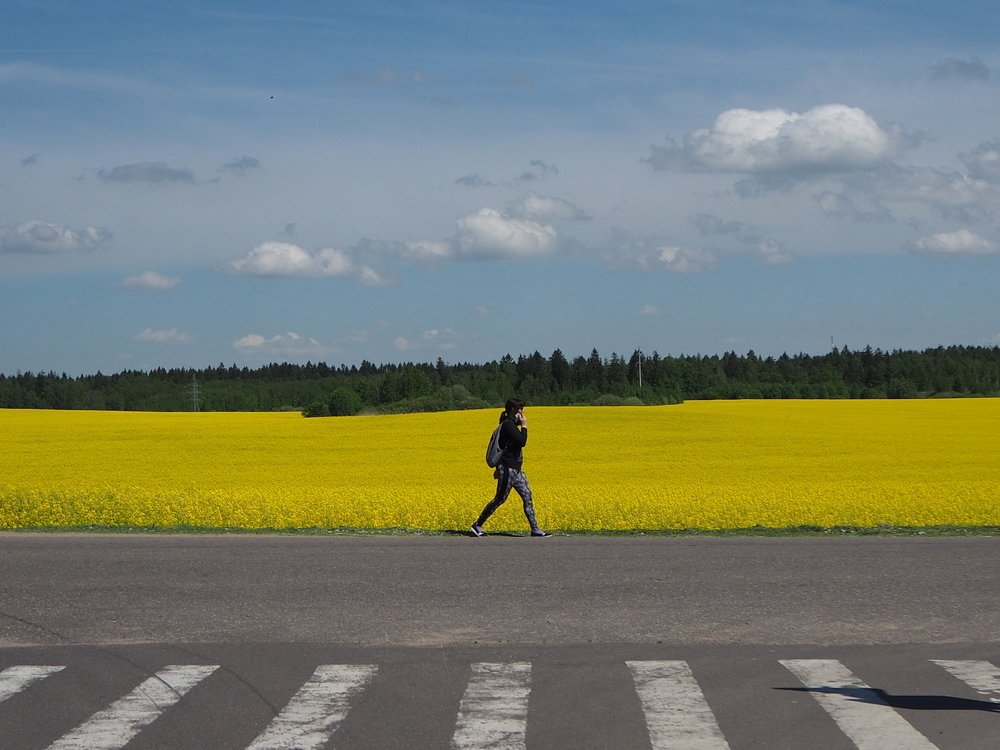 Photograph by Витковский Андрей