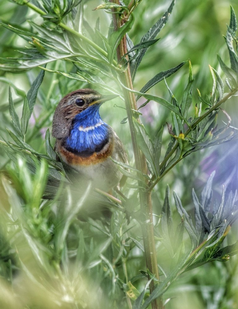 Photograph by Ирина Курицына