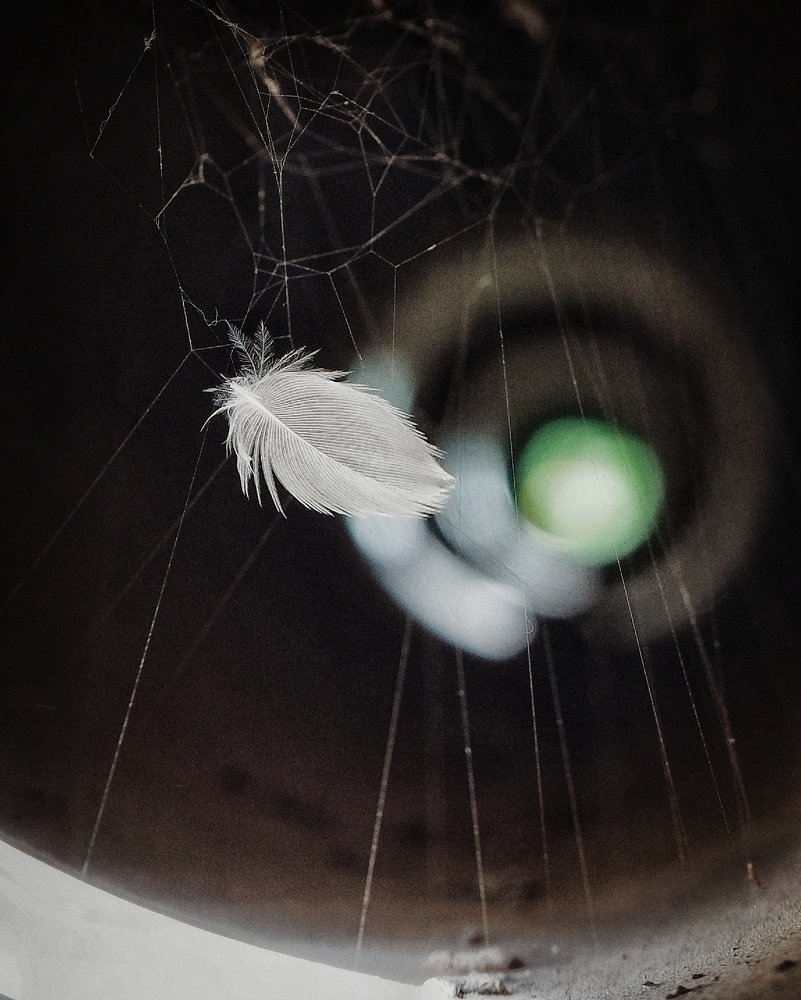 Photograph by Витковский Андрей