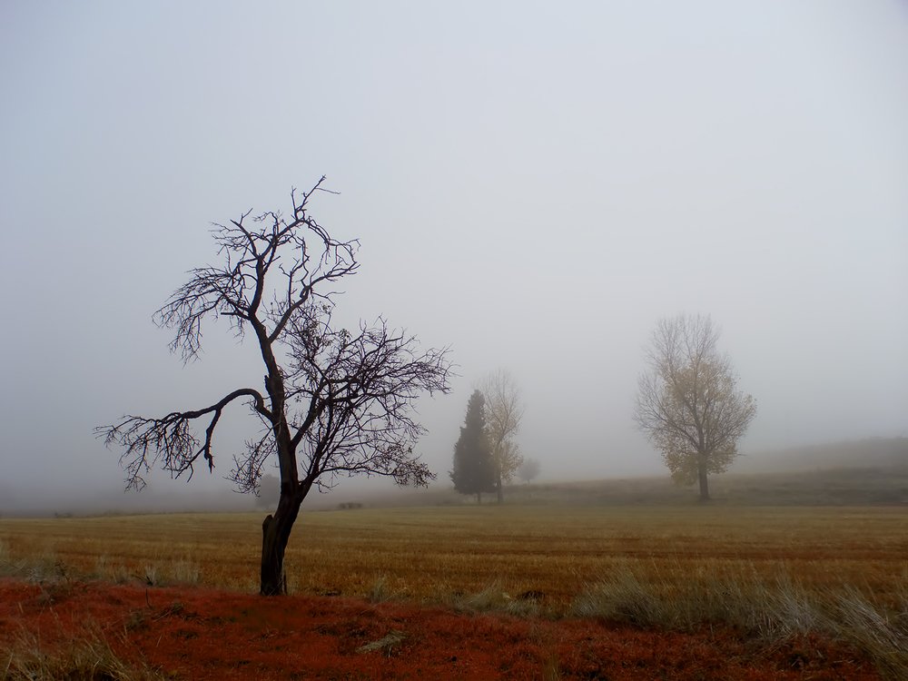 Photograph by Dimitris Vavliaras