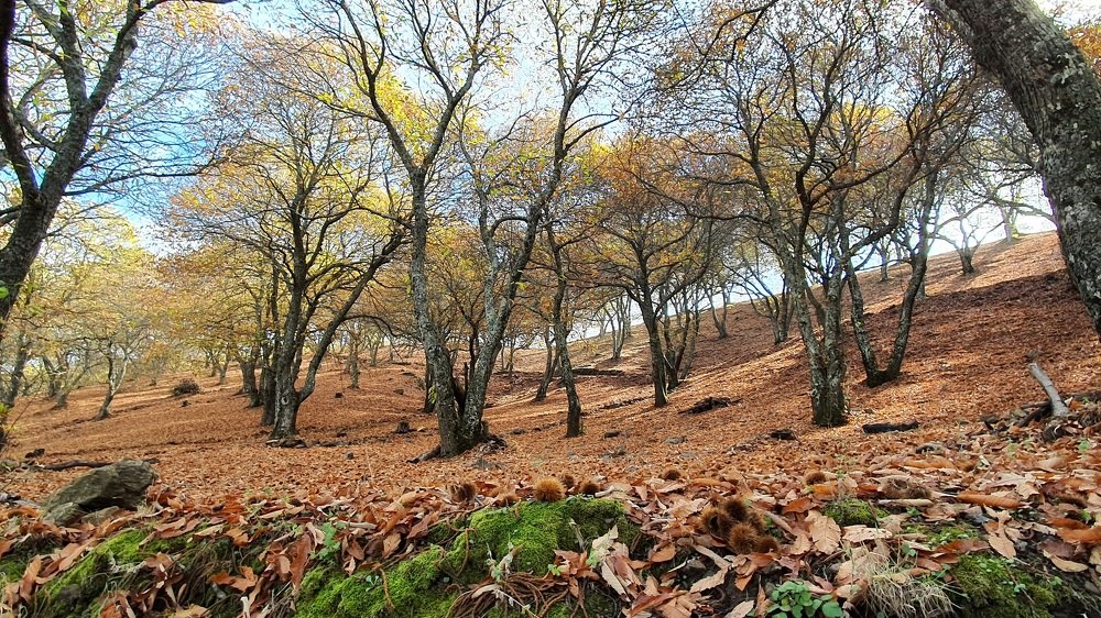 Photograph by Юлия Волженина