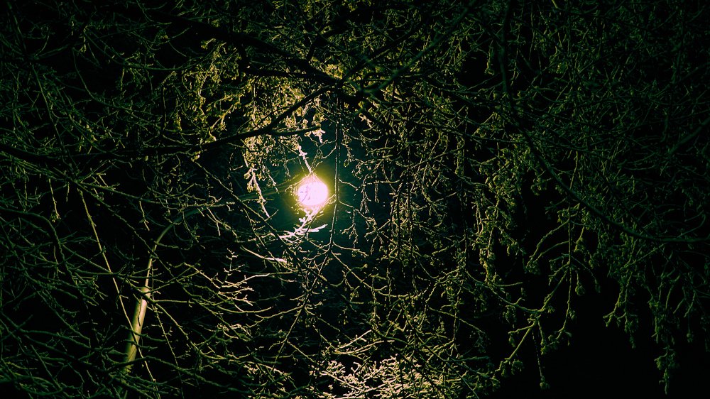 Photograph by Руслан Ибрагимов