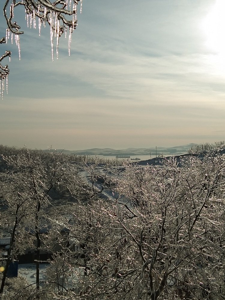 Photo #5364345