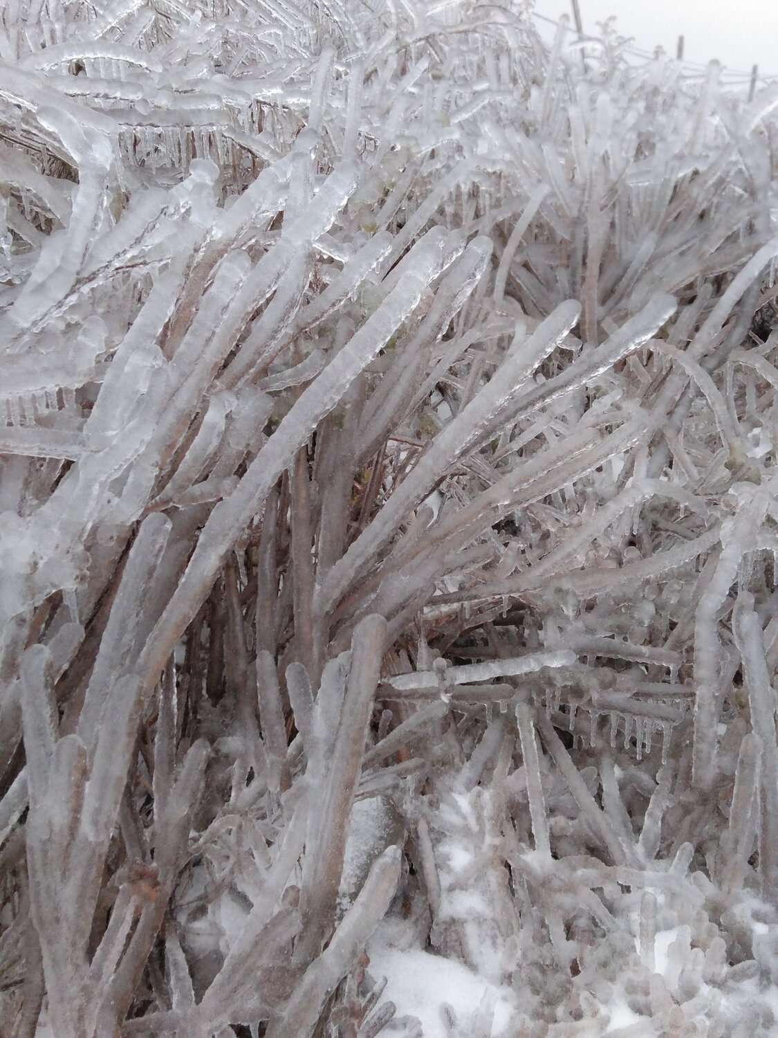 Photo #5364346