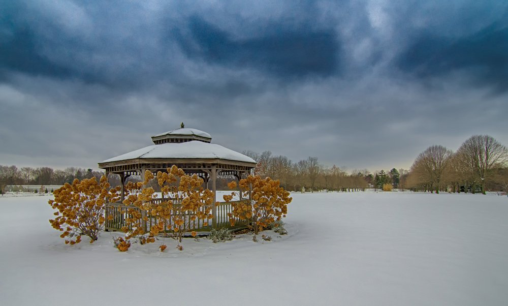 Фотография автора Qassem Ahmed Alzarra
