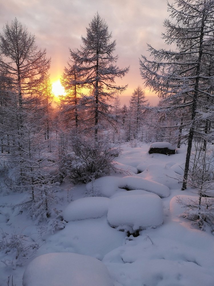 Photograph by Денис Саперов