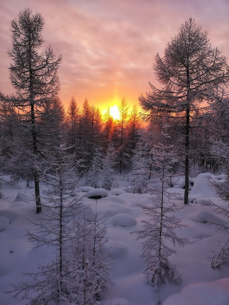 Photograph by Денис Саперов