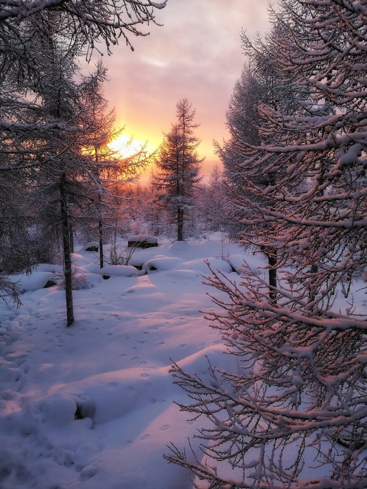 Photograph by Денис Саперов