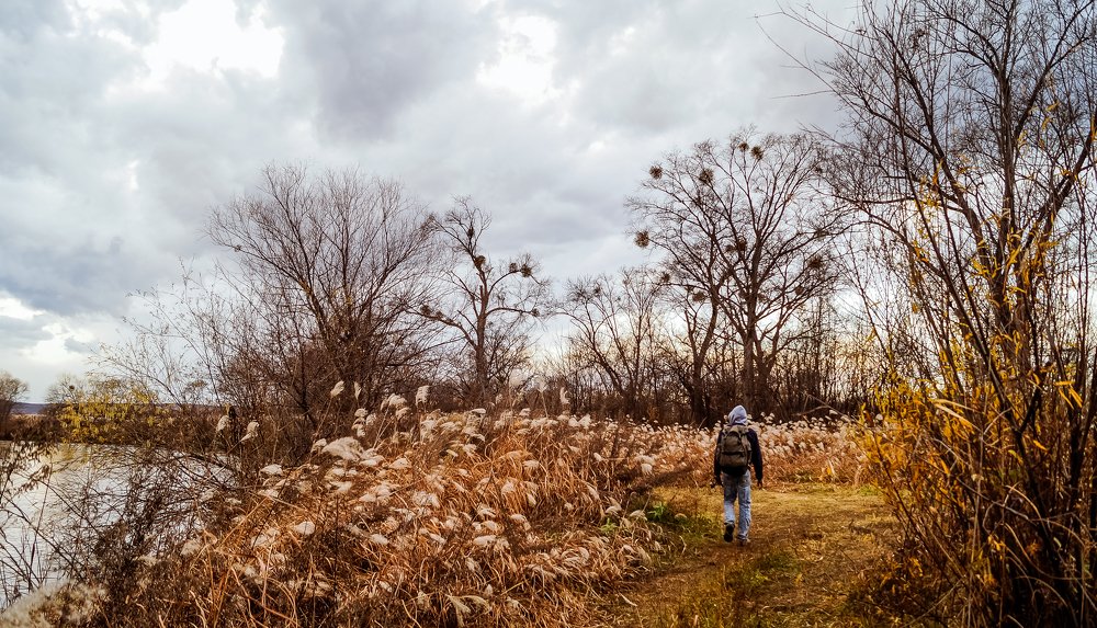 Photograph by Виктор Сёмушкин
