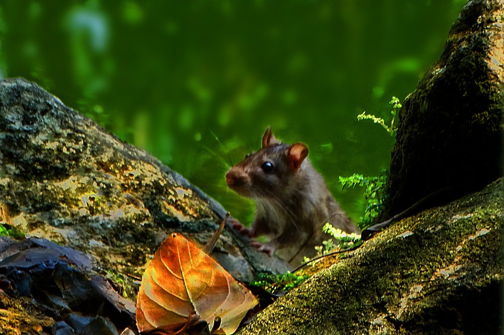 Photograph by Vy Van Bui