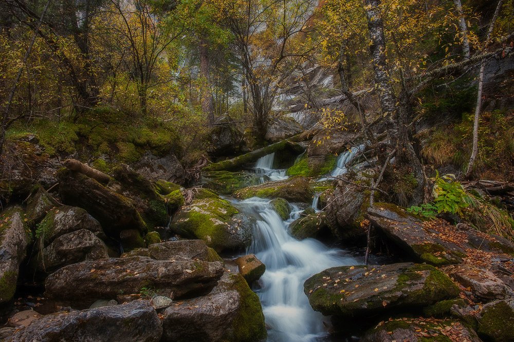 Photograph by Руслан Олинчук