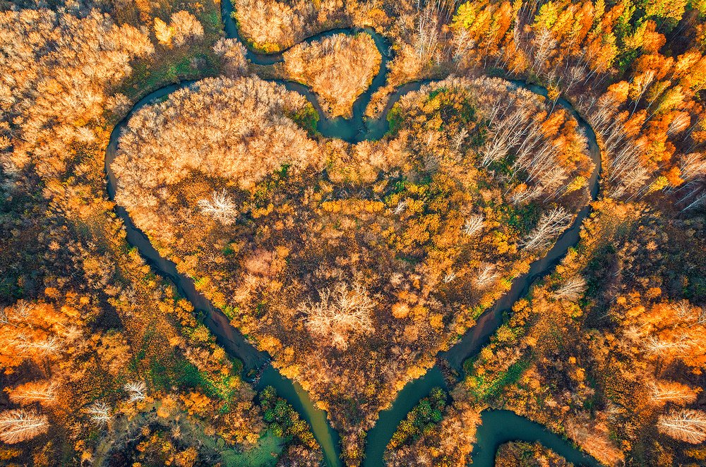 Сердце реки