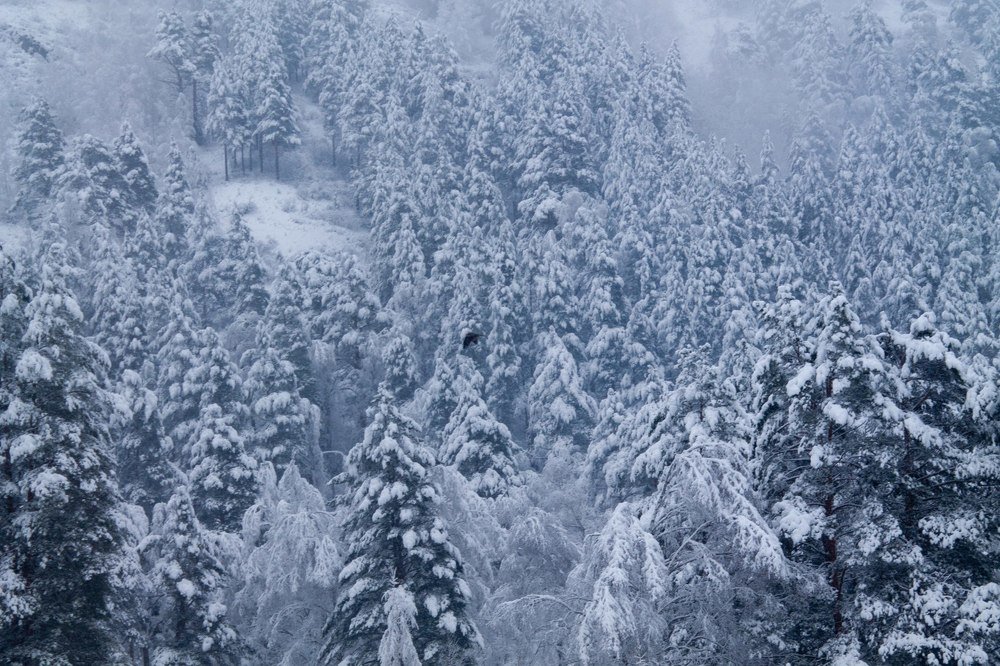 Photograph by Gerasimova Darina