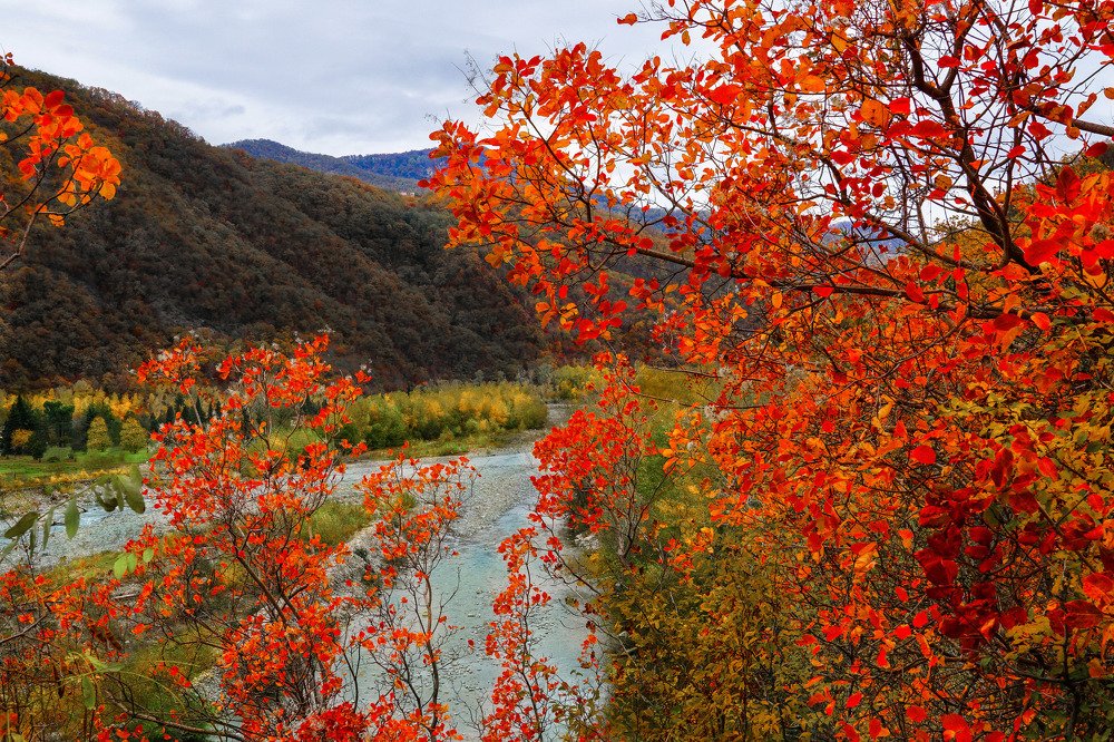 Яркие краски осеннего Кавказа