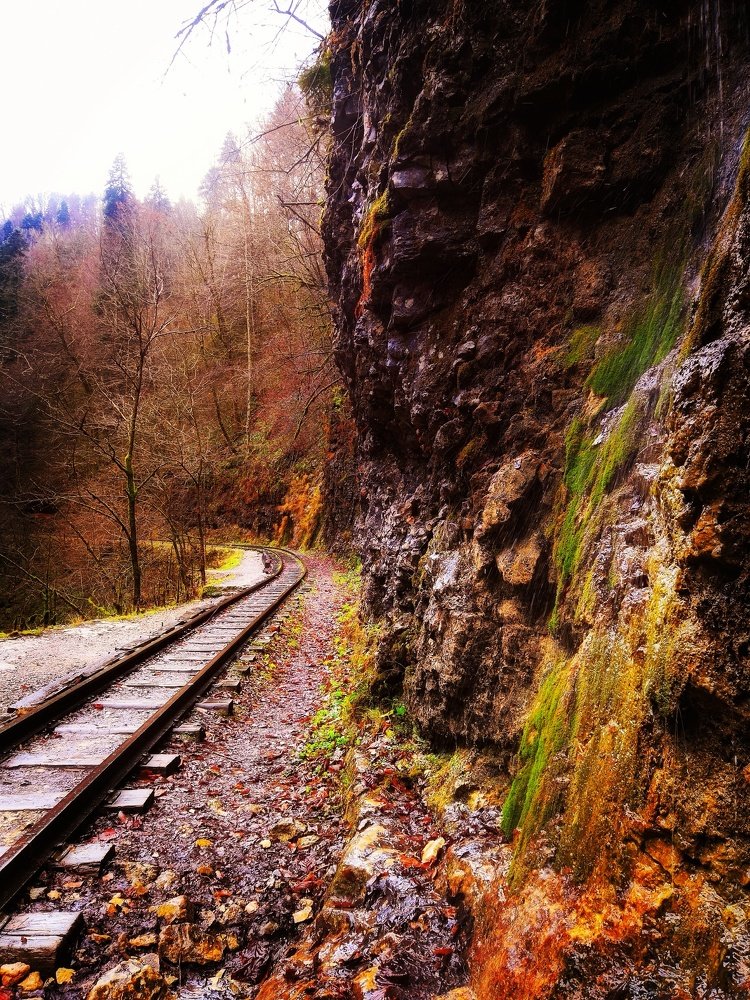 Photograph by Оксана Маракушина