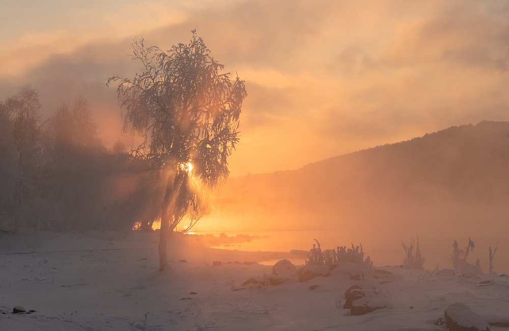 Photograph by Марина Фомина