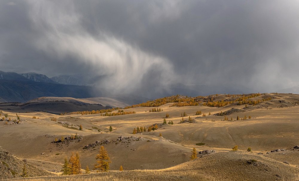 Photograph by Марина Фомина