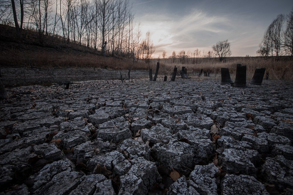 Photograph by Илья Сигунов