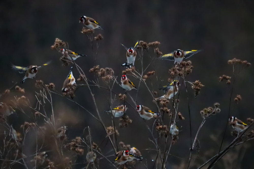 Photograph by ptu6ki