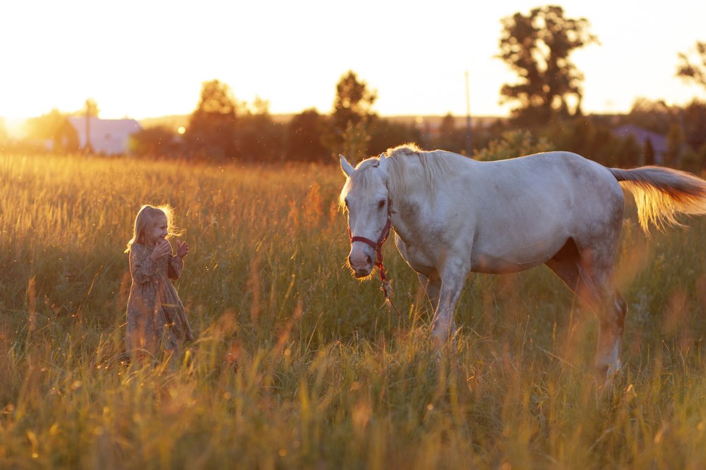 Photograph by Екатерина Стрельцова