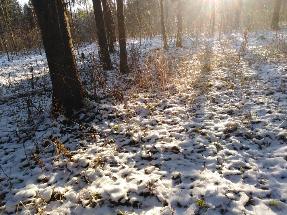 Photograph by Татьяна Ситникова