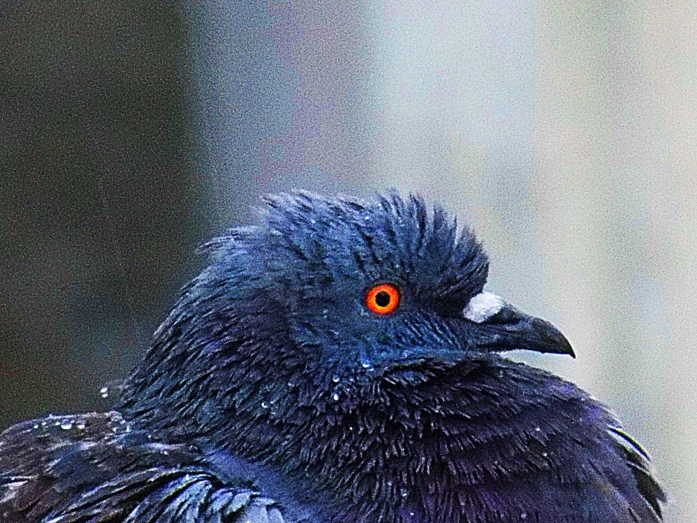 Photograph by Seshadri bhattacharya