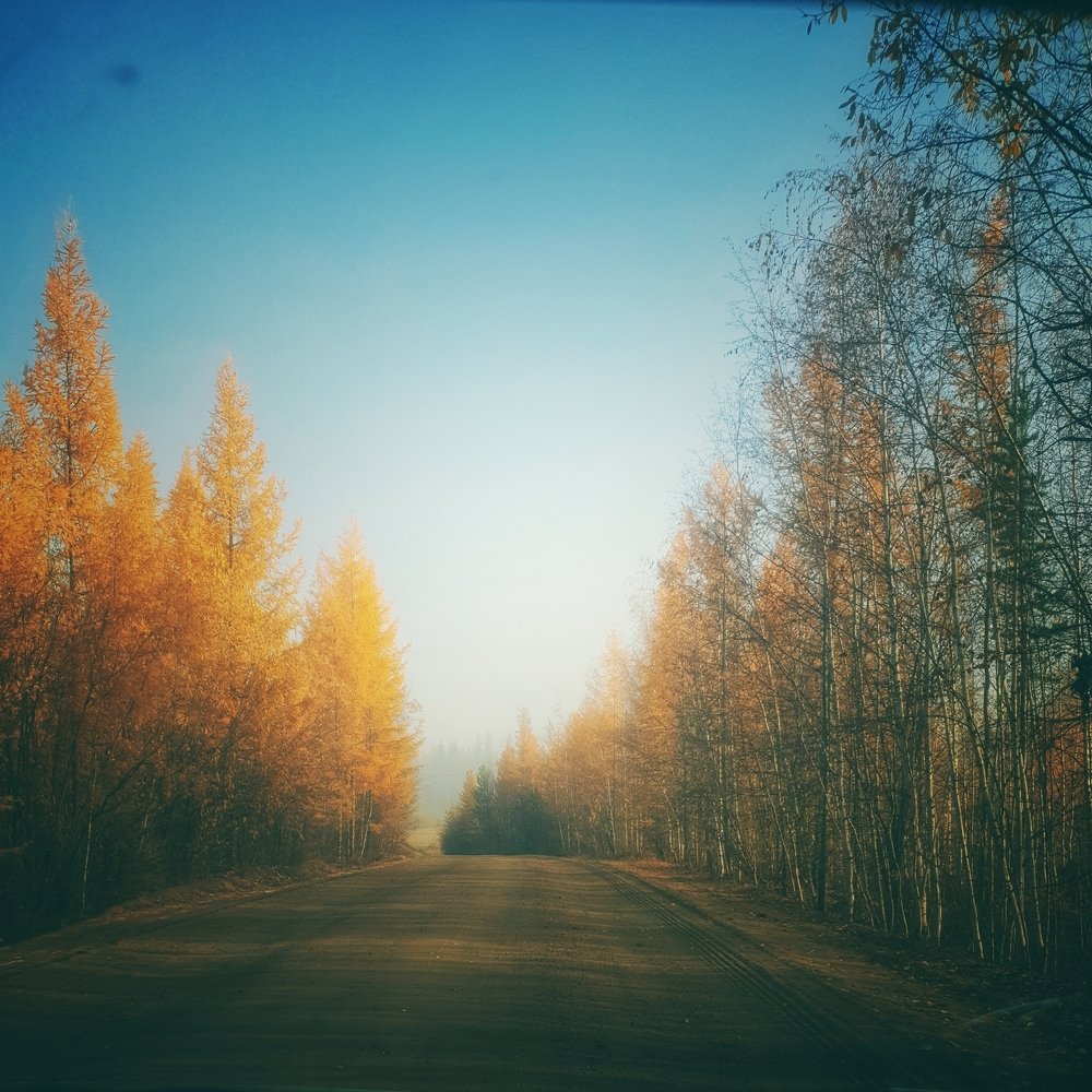 Осень.Путь