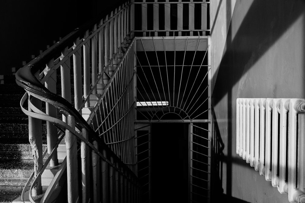 Photograph by Светлана