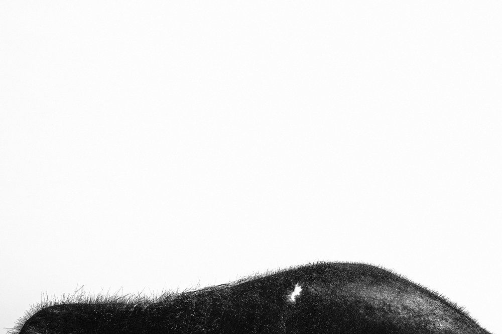 Photograph by Dnyaneshwar Vaidya