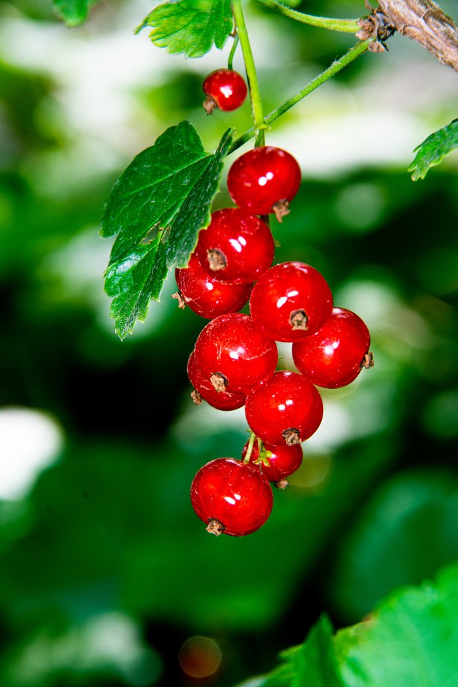 Photograph by Сергей Шабалин