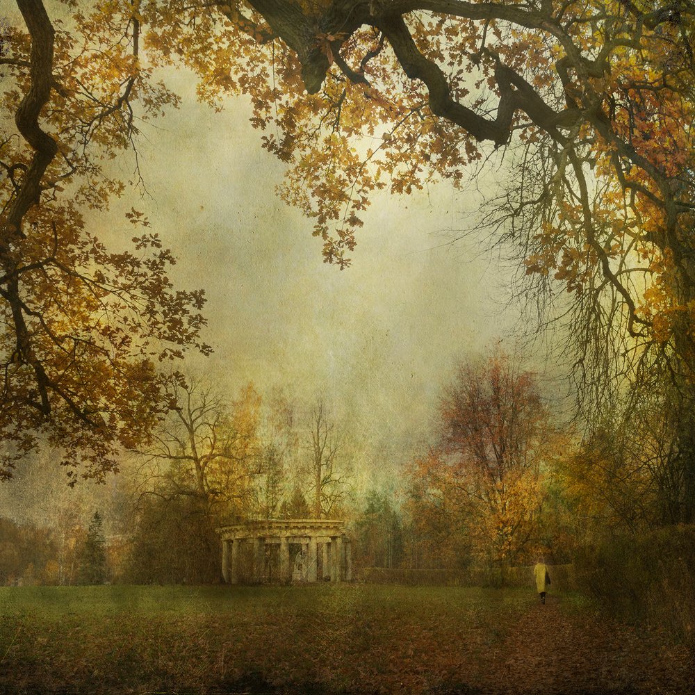 Photograph by Светлана Воробьёва