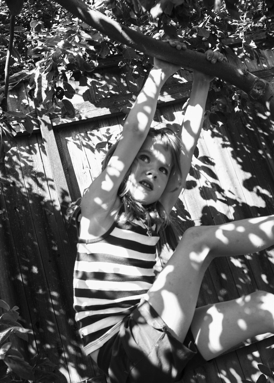 Photo #5365214