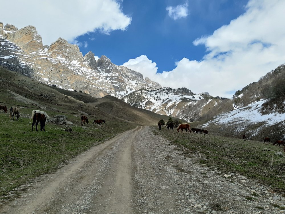 Photograph by Галина Сергеева