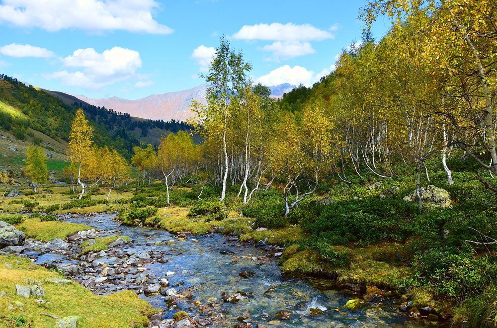 Photograph by Margo Margo