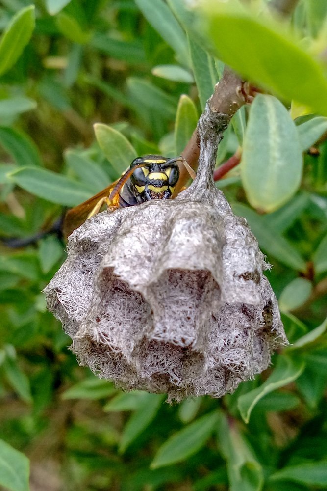 Photograph by Дмитрий Михайлов