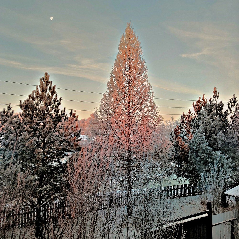 Photograph by Евгений Ужегов