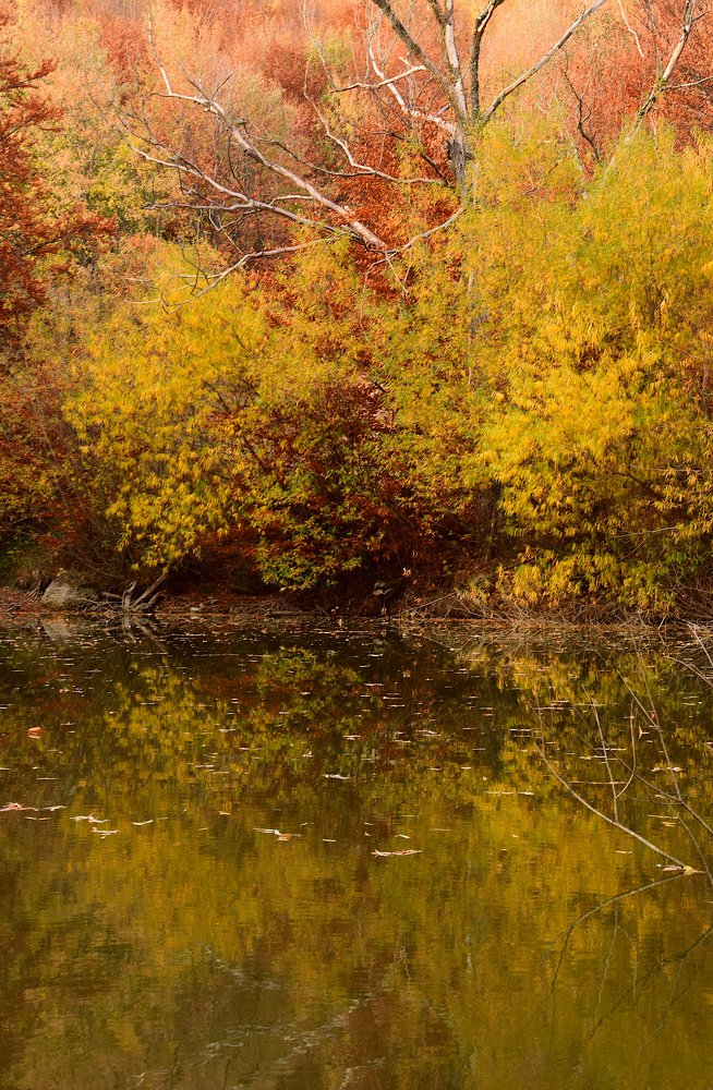 Photograph by Margo Margo