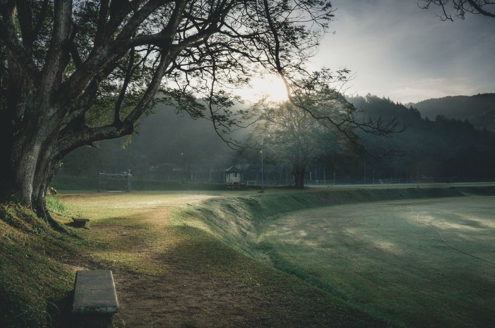 Photograph by Lahiru Rumesh