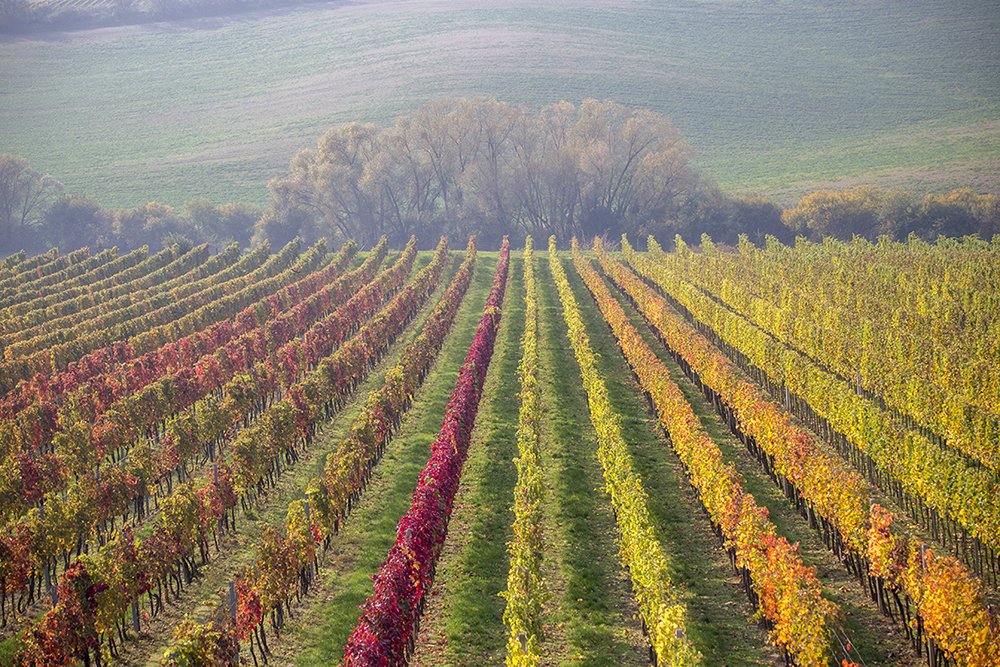 Photograph by Galip Çetiner